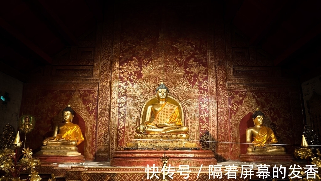 收藏家@马未都:丢尽了中国人的脸,这货还以为自己是国民英雄