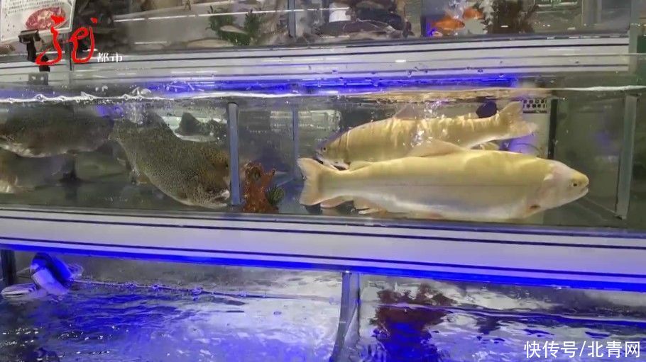 寄生虫|肚子里一天流出十多只虫子,就因为他吃了这种鱼……