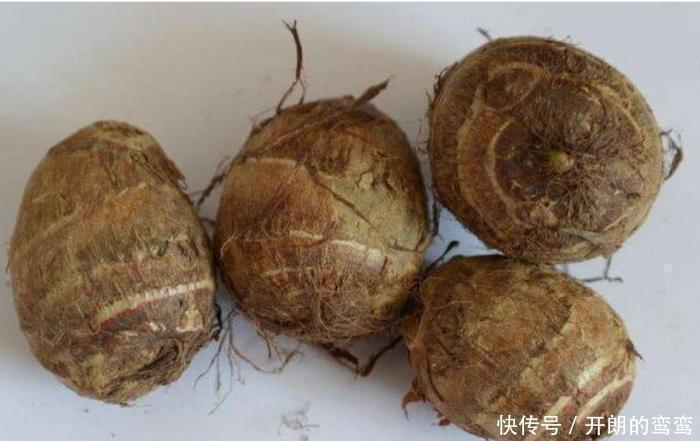 魔芋魔芋|减肥圈公认的4种“零卡路里”食物, 让脂肪轻松“滚出”体内!