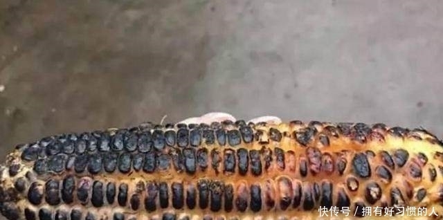 锅巴|据说吃过这些零食的人现在都老了,吃过三种以上的举手