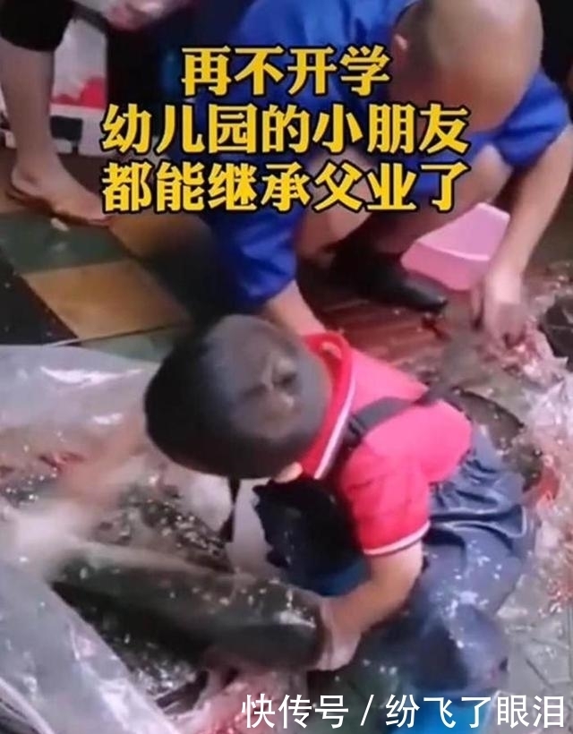 父母|4岁男孩杀鱼去鳞手法娴熟，孩子：幼儿园再不开，我要子承父业了