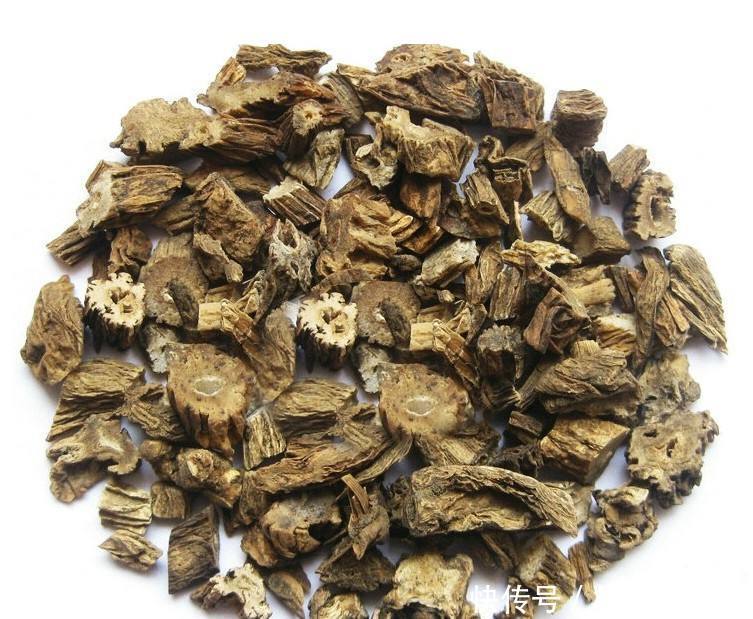 一味中药润肺气、治咳嗽，无论新久咳嗽、寒热咳嗽，皆可用之