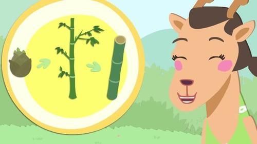 熊兔子贝贝|看安全又健康儿童动画片《熊兔子贝贝》,墨羽动画帮您忙