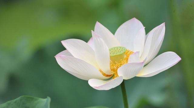 现实|这就是社会,这几句话说得太绝了,这就是现实