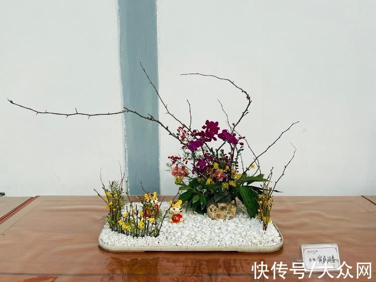 水仙花|大明湖公园迎春花展暨第九届水仙花展即将开幕