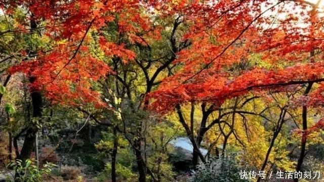 这个秋天，最值得拥有的地方，我们一路同行！