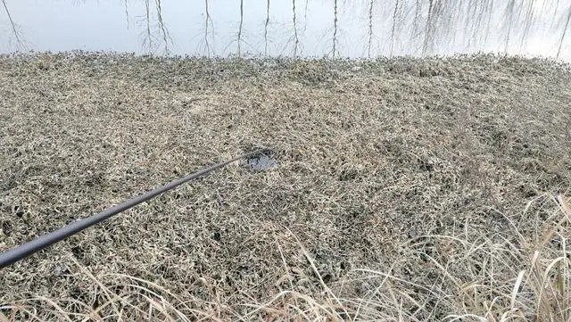 冬钓鲫鱼把握方法和时机,这4点就足够你狂拉大鱼,一定要记牢!