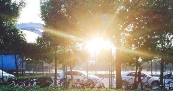 钙质|骨科医生:人过60,就怕骨折!吃什么能护骨?不喜欢也要多吃