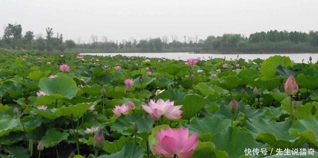 依山傍水說的就是這裏,蘇浙皖三省交界的長興,是個低調的好地方