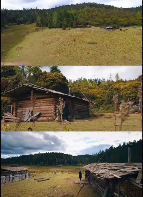 能和《山河令》对打的来了？