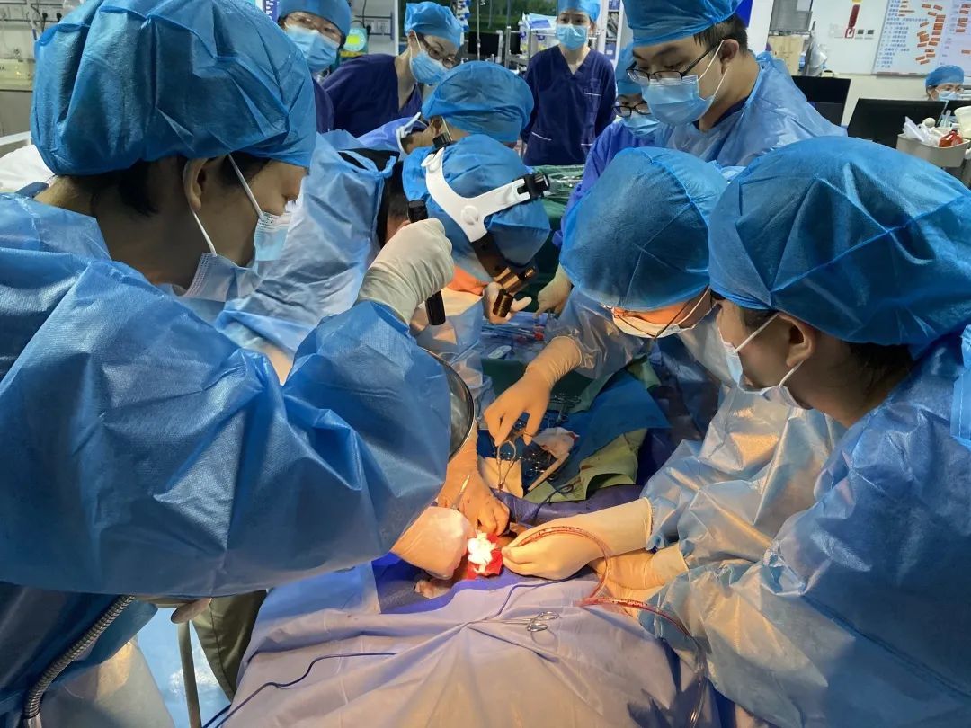 触电者|惊心!男子挪动风扇时,突然大叫一声倒地!