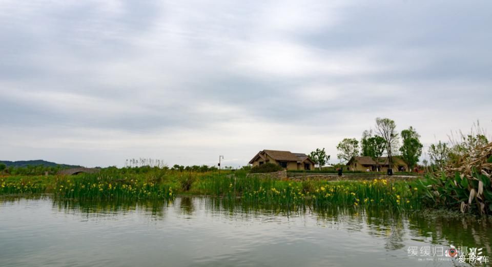老年|【复苏】走谷雨,开着蓝精灵去凤仪湾玩水看花~~
