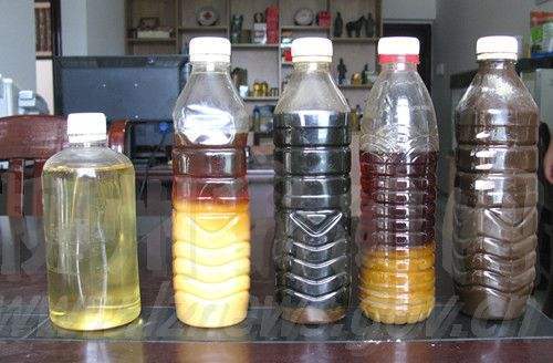 植物慢吞吞不开花盆里倒“1种油”,15天就搞定