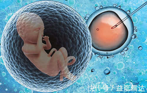 试管婴儿|6年试管经历告诫女性:别轻易做试管婴儿,三个代价一般人难承受