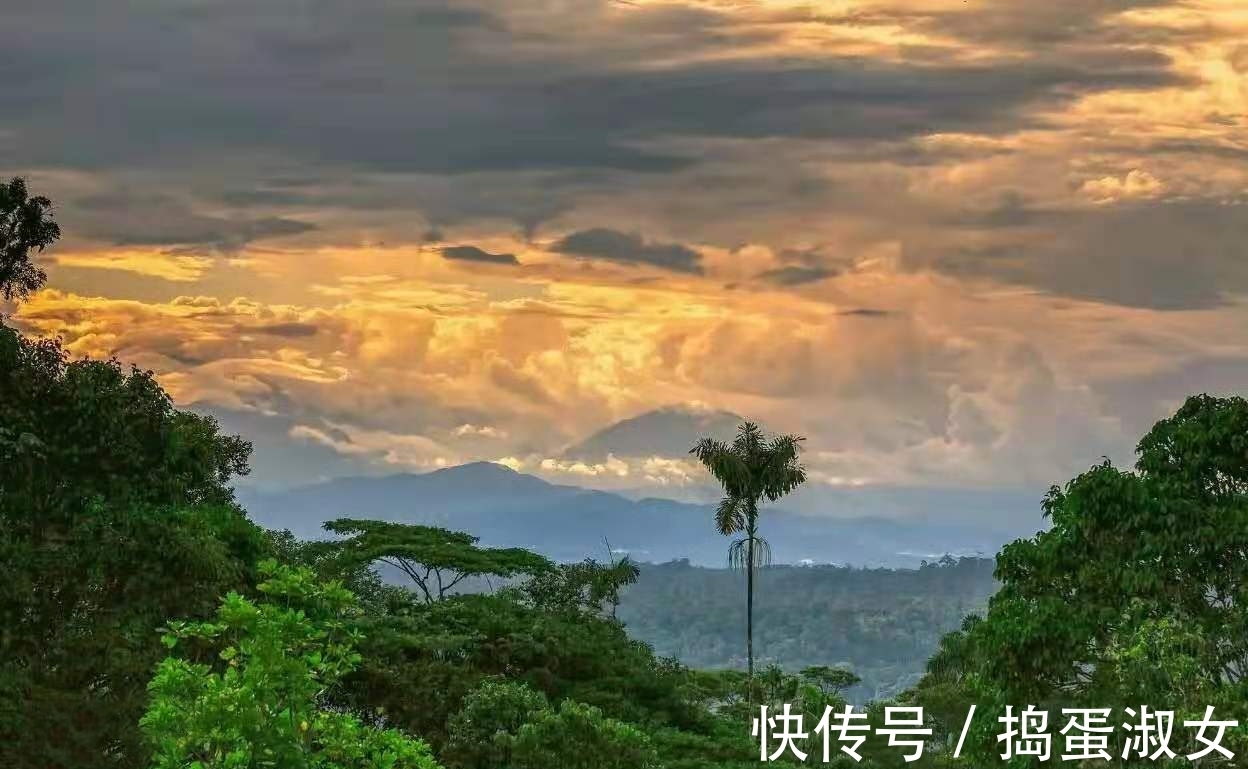 航天局|全球最大的热带雨林，藏着各种奇怪部落：不穿衣、抢丈夫、弃男婴