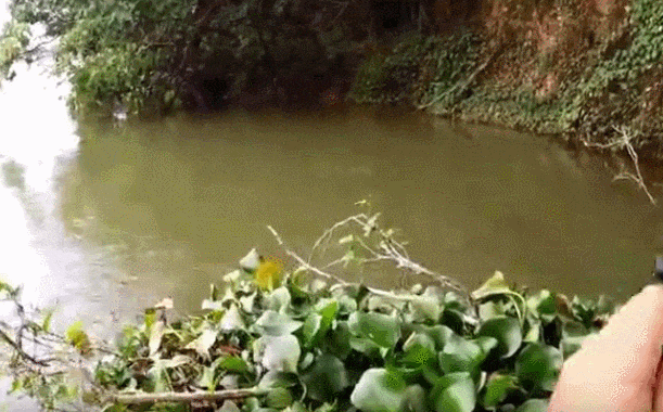 男子选这样的地方钓鱼, 划着艇子随便抛竿都有鱼追饵
