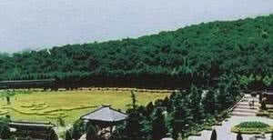 挖掘出来|据勘测,秦始皇陵的面积是故宫的80倍,为什么不挖掘