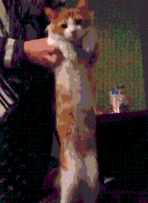 欣欣|14岁男孩身高只有1.53米，生长潜能不足2厘米！父母长期给他吃这些……