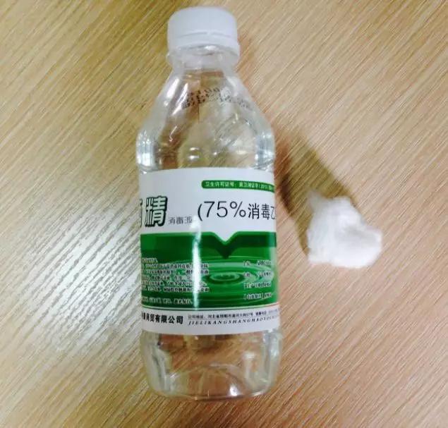 养花自制杀菌杀虫水,10天浇一勺,不生虫不得病,长得太旺!