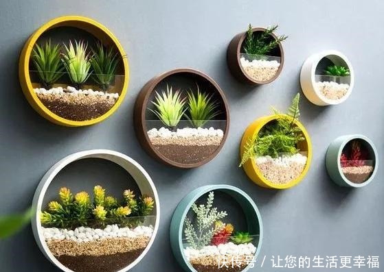 这些旧物都可以挂墙上养花,比挂画还好看呢,5种变废为宝创意!