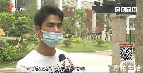 莫伯|男子脚趾受伤后竟爬出蛆虫 需做截肢手术 病情为何如此严重?