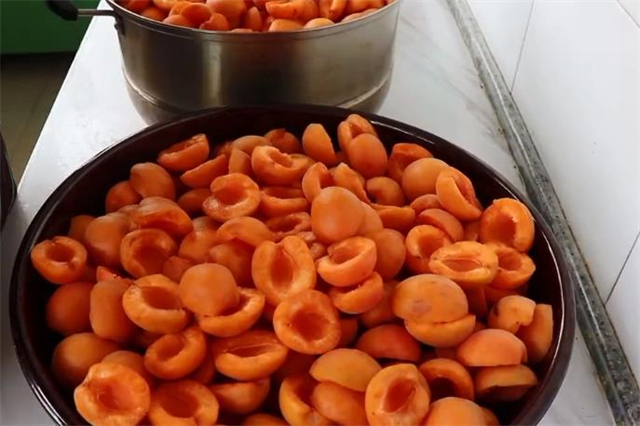 教你在家做杏干，1次买了50斤杏子制作，酸甜好吃有嚼劲，特简单