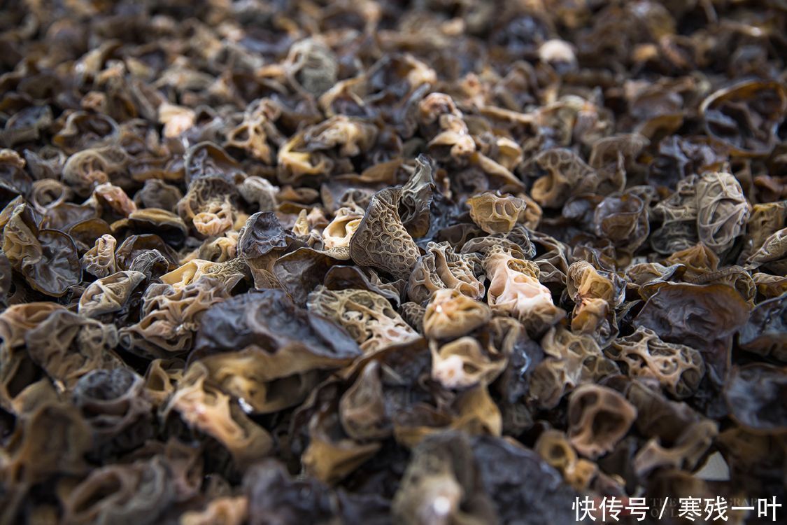 科技|走进陕西木耳种植基地，素食之王是这么长的，科技的力量太强大