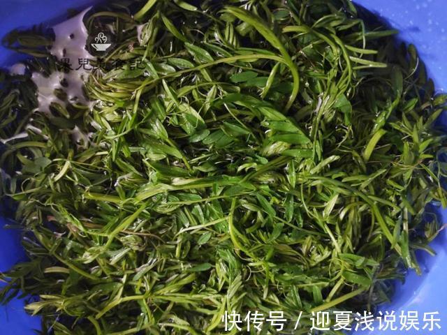 果儿|3块钱买了一袋野菜，只加了简单一味调料，炒出来清香美味