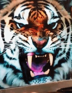 |搞笑GIF:妹子这笑容,我相信所有的不开心都会烟消云散的