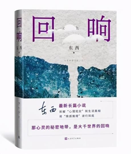 心理|东西新作《回响》，拆解“心理现实”