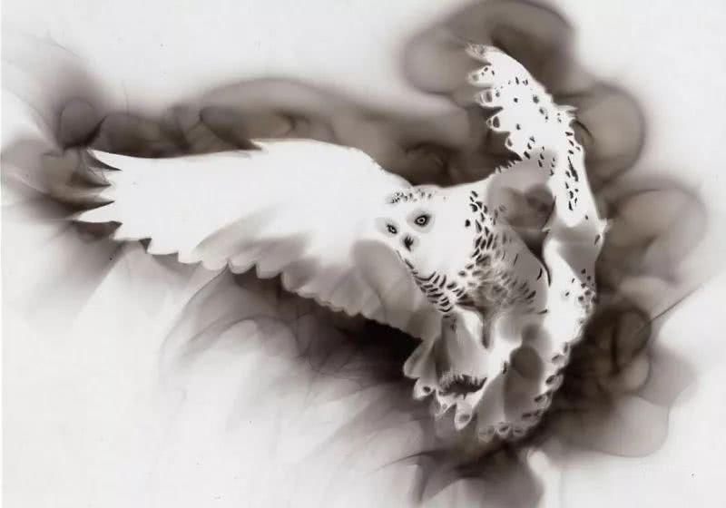 感到|理科生我们不画则已,一画就会让美术生都感到害怕