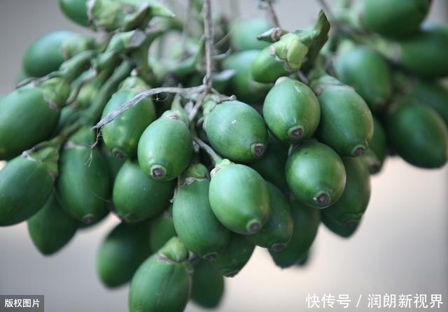 肠黄|老兽医60种常见中草药“一药一功效”汇总，建议养鸡人看看