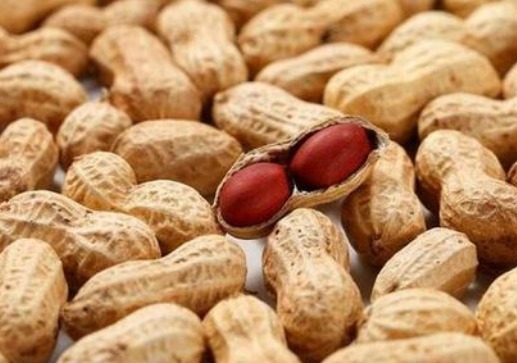 高血压|高血压病人吃花生如吃“毒药”专家说别被骗了!