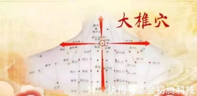 优质蛋白|免疫力是最好的医生!4个方法激活糖友免疫力,疾病不找血糖更好