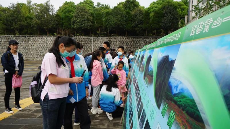 生物|大树杜鹃人工培育成功并顺利移栽腾冲