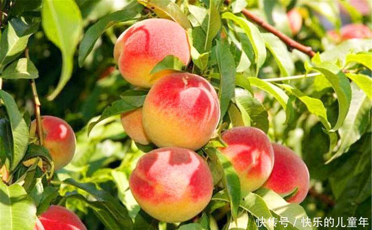 想要|女性想要身体好,可以多吃3种食物,补充营养、增强体质