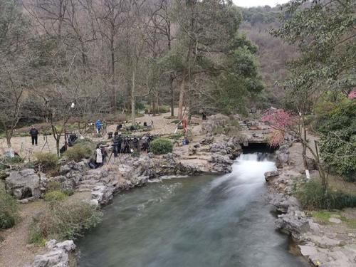 太子湾山樱开了！比往年提早半个月，西湖边“最美的春天”就要来了