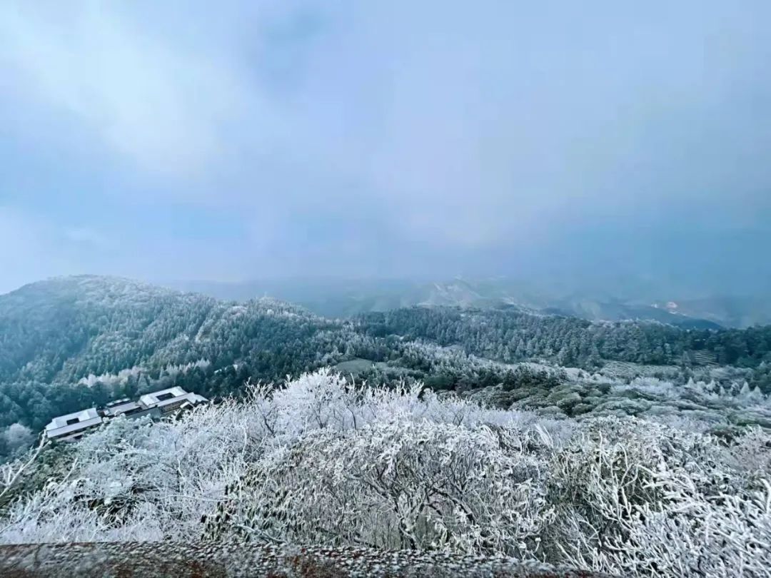 美景|华顶迎今年首场雾凇！天台山美景刷爆朋友圈！