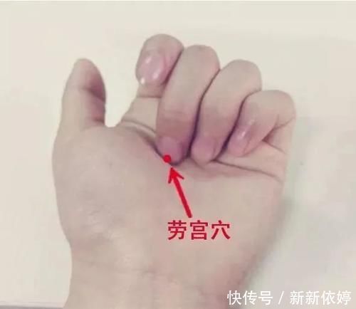 苦瓜|夏季养生要养心,4个穴位,5种食材,清心火,解热毒