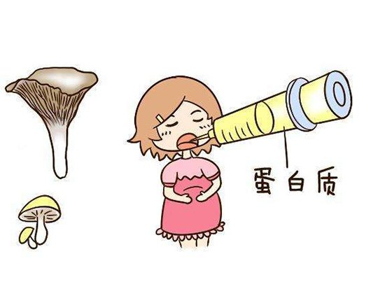 排卵|吃啥助排卵与受孕