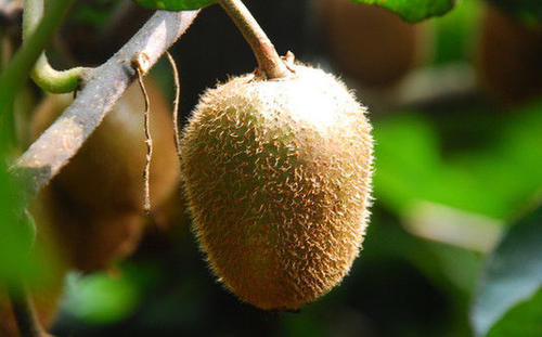 |沙雕动画,搞笑:看年轻人是怎么发朋友圈的!太影响下饭了!