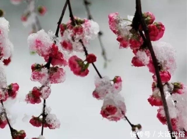 词人|这首金代诗词千古有名，大雪纷飞思念亲人，道尽人生悲欢