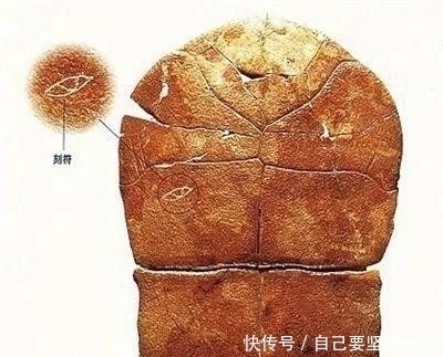  a8485|比甲骨文古老的文字，距今超8000年，考古家：中华文明再加三千年