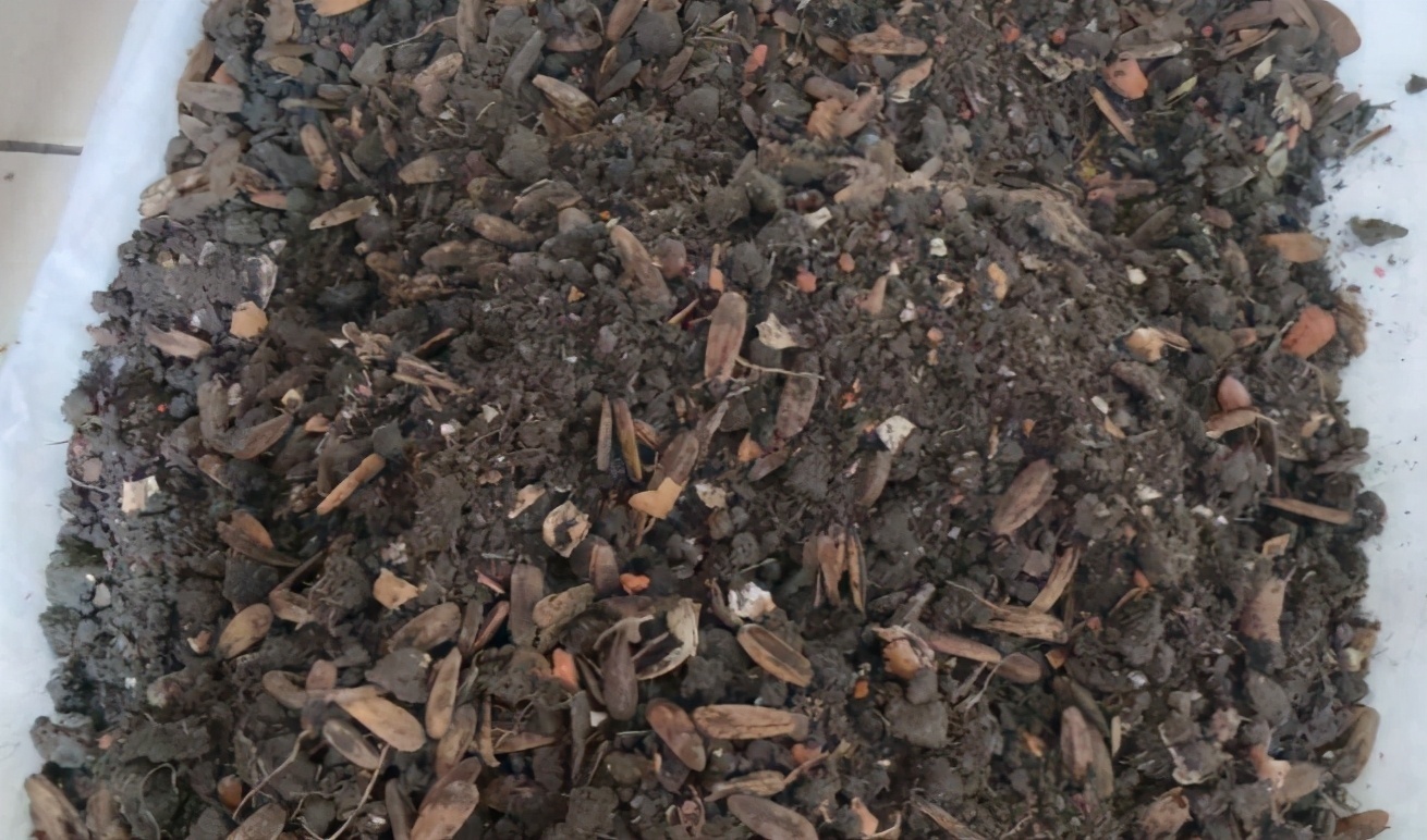 花友们|花土问题无小事,牢记3点,养花土不轻易结块,花根长得更壮实