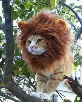 |笑话段子:前女友打电话过来,居然是为了……