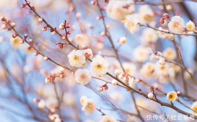 千古名言$陆游最经典的一首词,每一句都是千古名言,美得惊艳无人能出其右