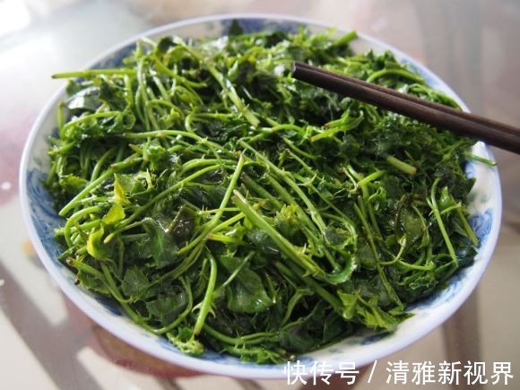 炒菜|饭桌上不常见的野菜,吃过的人是少数,农村人才认识!