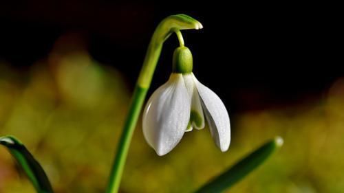 贵人运|下半年,扬眉吐气!4大星座事业爱情双丰收,苦尽甘来!