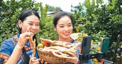 农产品|信息服务、电子商务取得显著成效 互联网为乡村振兴添活力