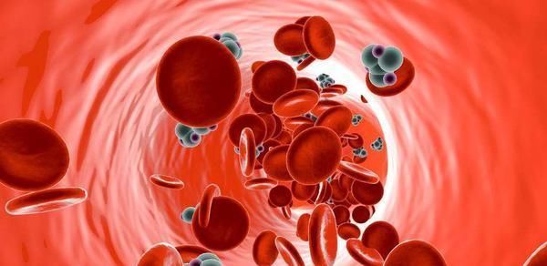 高血脂|高血脂患者吃什么好？医生整理了7种食物，排第一的竟不是山楂